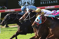 Victory Command and Luke Dempsey gives the Lockwood stable their fifth winner from their last ten starters and their first winner of the new season

Photos: Graham Potter