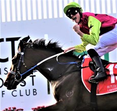 Knight's Choice ... Champion Stayer category

Photos: Darren Winningham and Graham Potter