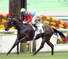 Photos: Courtesy Hong Kong Jockey Club
