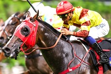 Forever Folks charges late for Karis Teetan.

Photos: Courtesy Hong Kong Jockey Club