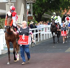 The entire field leaves the parade ring