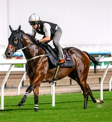 Photo: Courtesy Hong Kong Jockey Club