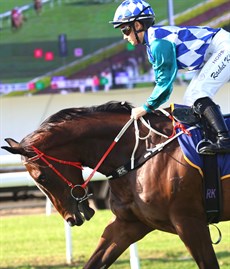 I have the class mare Exotique Miss as the Weetwood winner ...