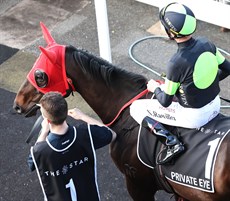 Private Eye ... no run in The Everest this year but, instead, he should be a big chance in the Moonga Stakes at Caulfield