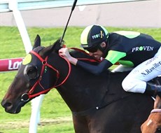 Photos: Graham Potter