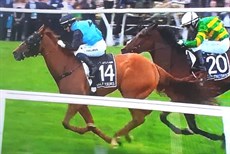 They're home

Photos: Channel 9