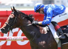 Photos: Darren Winningham