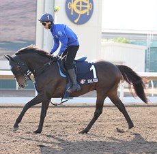 Photos: Hong Kong Jockey Club and Darren Winningham</b.