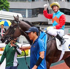 Some sights you have seen before that never get old ... and sights which you are likely to see them again on Sunday. 

Purton brings Ka Ying Rising back to scale a winner (above) and McDonald does the same on Romantic Warrior 