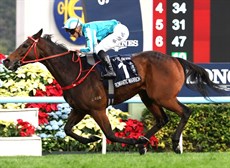 Photos: Darren Winningham