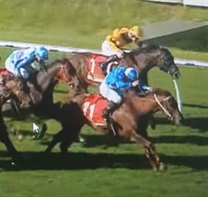 Madhi Girl

Photos: Perth Racing