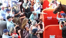 Photos: Graham Potter