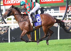 Photos: Graham Potter