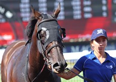 Photos: Graham Potter