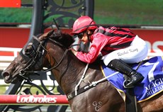 Lonhro's Queen 