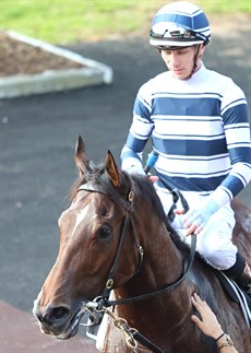 Yoyo Yeezy

Photo: Graham Potter