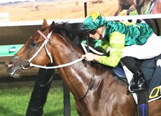 Photos: Graham Potter