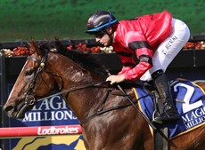 Ninja

Photos: Graham Potter