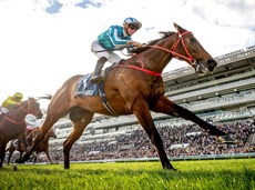 Photos: Hong Kong Jockey Club