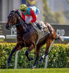 Photos: Hong Kong Jockey Club</b.