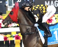 Photos: Graham Potter