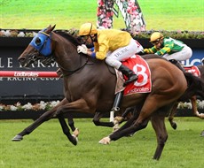 Photos: Darren Winningham