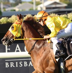 Photos:Graham Potter