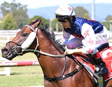 Photos: Darren Winningham