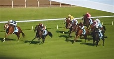Hello Punters ... here I come

Photos: Graham Potter and Sky Channel