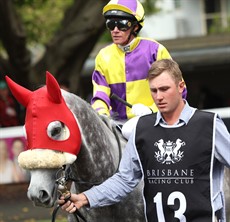 Trusty Bandit ... a winner at Kilcoy (10/08/26)