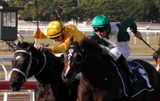 Correct weight was delayed to allow N. Rawiller, the rider of 2nd placegetter BRAZEN BEAU (in yellow) , the opportunity of viewing the head-on footage in the straight. After viewing the video, N. Rawiller indicated that he did not wish to proceed with an objection and correct weight was declared