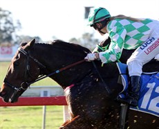 Laura Cheshire pictured aboard Crafty's Last who finished third at Beaudesert. Cheshire looked at the video to see if she had grounds to protest against both the winner and the second placed runner but, after seeing the replay, she took no further action