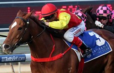 Is the present apprentice domination in Brisbane racing a fleeting episode?

After a month of racing into the new season Luke Tarrant heads the leader board on 8 wins, trailed by Matt McGuren on 7 and Bridget Grylls on 5.5.

All three saluted on Saturday with Tarrant landing a double.

Tarrant and Epic (above) ...

