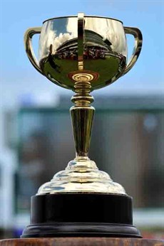 The chase is on for the 2014 Melbourne Cup