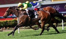 Beau Jet (above) and Rudy (below) both came from near last to win at Doomben on Saturday