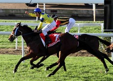 River Lad wins last year's Stradbroke. It as a given that the Stradbroke will be run at Doomben for the first time in 2015
