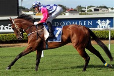 Grantly Miss
In the money, finishing third at Doomben on January 21 (see below)