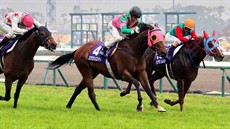 Aerovelocity (No.4) ridden by Jockey Zac Purton beats Japanese runners Hakusan Moon (No. 15) and Mikki Isle (No. 16) in the Takamatsunomiya Kinen in Japan, becoming the first overseas horse to win in this Group 1 1200M race.

“Obviously I was a bit concerned about the rain, but the track was not that bad. It was a new experience for him,” he said. “As we entered the home straight, he appeared to have lost his footing, lost a bit of his momentum. I thought the race was all over.

