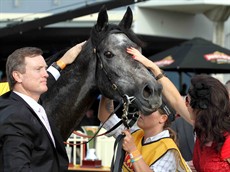 Arabian Gold will have to gallop to the satisfaction of the stewards before being cleared to start in Saturday’s $3 million Doncaster Mile