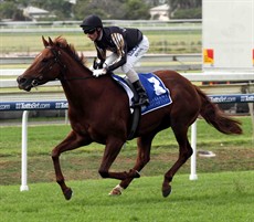 I’ve still got some other good rides lined up for the carnival. I’ve got Srikandi  lined up for the Victory Stakes. She is . pictured here winning at Doomben during last year's carnival before starting favourite for the Stradbroke