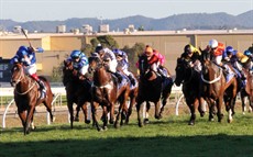 Traveston Girl (white cap - right) finished third in the Group 3 Gold Coast Guineas. She was outstanding. She was probably the run of our stable and one of the better runs at the coast all day.

