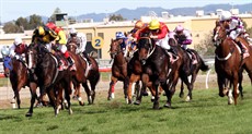 Gundy Spirit’s third place in the Prime Minister’s Cup (white cap - right) was an excellent effort.The Gold Coast has always been a bit of a bogey track for him. I still certainly don’t think it is his favourite venue, so for him to run so well around that track just shows how well he is going at the moment. 