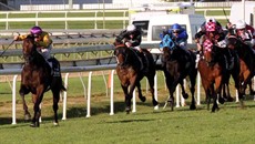 Hopfgarten (in the pink and black colours) chases Pornichet in the Doomben Cup. It was his first step up to Group 1 and Weight-For-Age. I thought his run was tremendous. It was probably nearly a career best run for him up in that sort of company