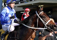 Larry Cassidy brings Winx back to scale at Caloundra on Saturday