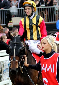 Temple Of Boom makes his way out onto the track for the Stradbroke

It was hard for me when Spirit Of Boom retired last year but when Temple Of Boom retires it will be by far the hardest day of my training career 

Photo: Darren Winningham