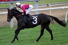 Rock Royalty blasted his opposition in 1:02.49 (a new track record) in Saturday’s Ray White Dash

Photos: Graham Potter