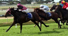 I suppose winners Kaiser Franz (above)and Lordag (below) running on from the second half of the field was an inconvenient truth for those 'experts' on the Doomben 'on-pace' bandwagon