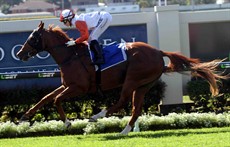 Satirical Lass lines her opposition, for the second time in a row, at Doomben on Saturday ...