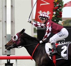 ... securing his Group 1 success on Tinto in the Queensland Oaks