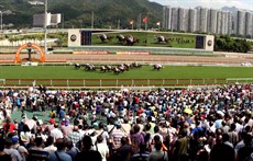 The season opener

72,000 racing fans turned out on course and turnover rose to a new high for the day of HK$1.147 billion